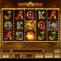 5Gringos - Book of Dead Slot Game - Online Casino
